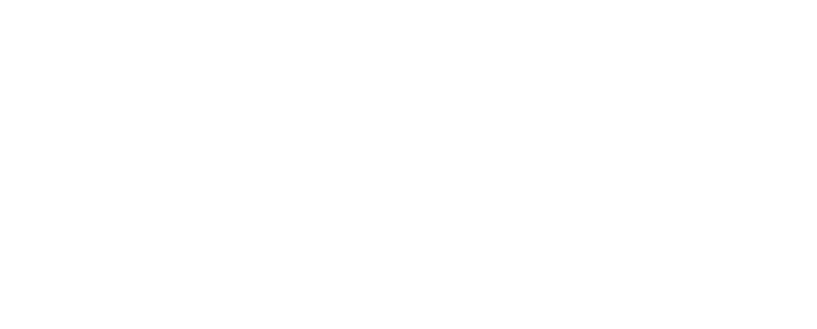 Velasquez Dolan Soler